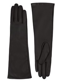 IS955