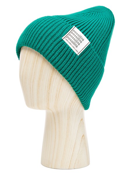 Шапки LB-BR55040