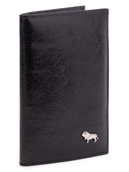 Обложка для документов L089-1613, фото №1