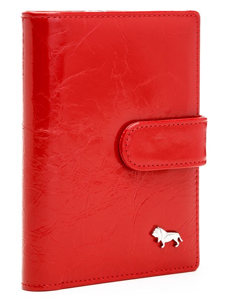 Обложка для документов L089-1613-2, фото №1