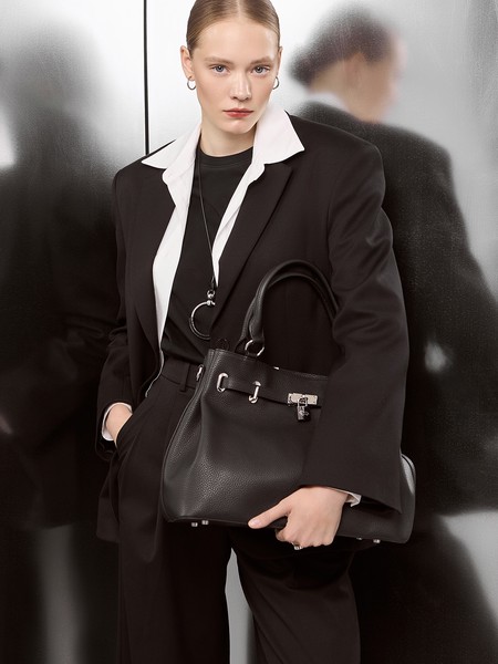 Женская сумка на руку L-HF4459