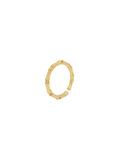 <p><span>Кольцо</span></p>ZZ-RN26029