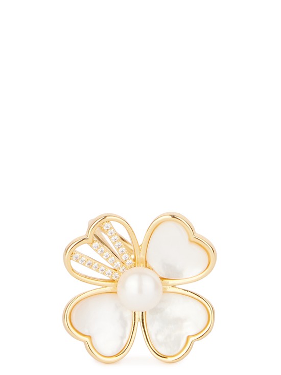 Бижутерия для платковR649