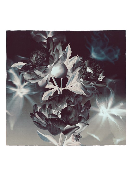 Платок SS03-8498