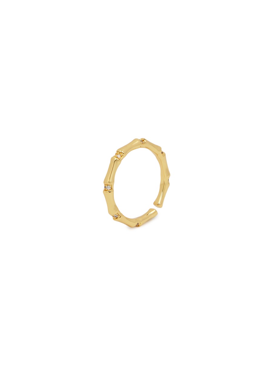 ZZ-RN26029